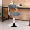 Dining Chair Modern Dressing Chair for Makeup Room, Dormitory Computer Chair, Adjustable Rotary Gas Lift Chair Lift Home Hotel Office Checkout Counter Barstool Cafe Dining Chair view 2
