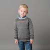 Hope & Henry Boys' Organic Long Sleeve Intarsia Crew Neck Pullover Sweater, XX-Small, Charcoal Heather Birdseye view 2