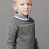 Hope & Henry Boys' Organic Long Sleeve Intarsia Crew Neck Pullover Sweater, XX-Small, Charcoal Heather Birdseye view 3