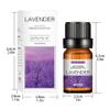Aromatherapy Water-soluble Oil Aromatherapy Suitable Fit for Humidifier 10ml view 2