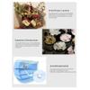 Aromatherapy Water-soluble Oil Aromatherapy Suitable Fit for Humidifier 10ml view 4