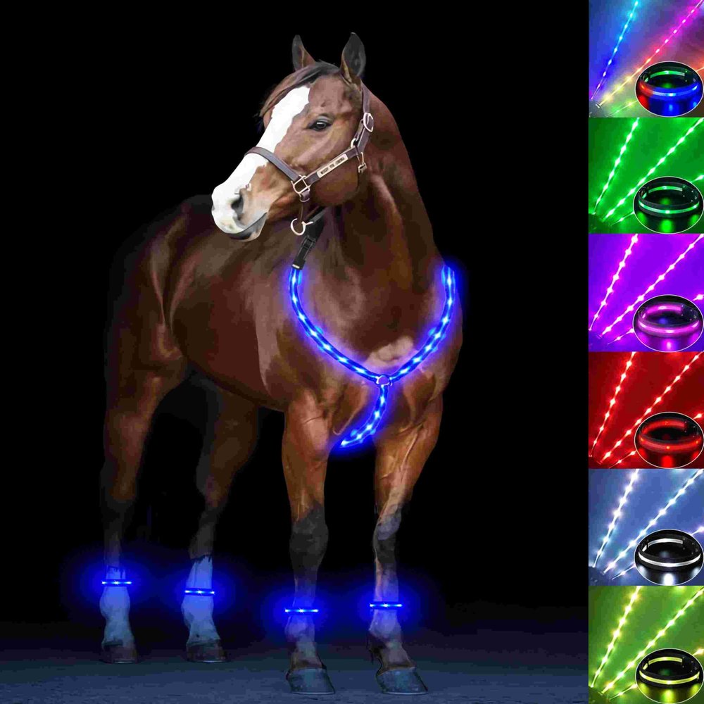 5pcs LED Horse Breastplate Collar & Leg Band, 7 Colors in 1 Light up Horse Tack Set, USB Rechargeable LED Horse Harness & Leg Strap - Added Visibility & Safety for Night Horse Riding