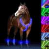 5pcs LED Horse Breastplate Collar & Leg Band, 7 Colors in 1 Light up Horse Tack Set, USB Rechargeable LED Horse Harness & Leg Strap - Added Visibility & Safety for Night Horse Riding view 1