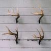 RACK HUB RH1 Single Antler Mounting Kit - 4 Pack Bundle view 3
