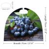 BVNMT Delicious Blueberries Printed Cape Unisex Adult Costume - One Size Fits Most (1 Count) - Ideal for Cosplay, Parties, And More view 2