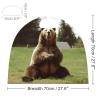 BVNMT Hi Bear Sit on The Lawn Printed Cape Unisex Adult Costume - One Size Fits Most (1 Count) - Ideal for Cosplay, Parties, And More view 2