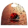 BVNMT Art Ladybug Tracks Printed Cape Unisex Adult Costume - One Size Fits Most (1 Count) - Ideal for Cosplay, Parties, And More view 4