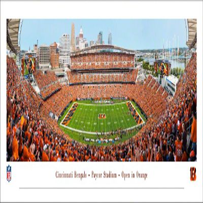 Cincinnati Bengals, Orange Out - Unframed Poster by Blakeway Panoramas (40"W x 13.5"H)