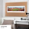 Cincinnati Bengals, Orange Out - Unframed Poster by Blakeway Panoramas (40"W x 13.5"H) view 2