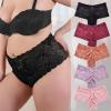 Womens Sexy Mesh Lace Thongs Plus Size High Waist Seamless Breathable Panties Underwear(Red+Purple+Pink+Brown,3XL) view 2