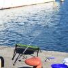 2-Section Telescopic Fishing Rod Holder with 4-Leg Stable Base, 8-Rig Capacity, Portable Zinc Alloy Fishings Rod Stand for Bank Boat Fishing, Lightweight Fishings Gear view 4