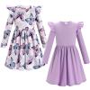 FYMNSI 2 Pack Baby Toddler Girl Dress Long Sleeve Dress Butterfly Flowers Print Ruffle Skater Dress Kids Little Girls Fall Dress Casual Holiday Everyday Dresses Winter Outfits Purple Butterflies 4-5T view 1