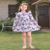 FYMNSI 2 Pack Baby Toddler Girl Dress Long Sleeve Dress Butterfly Flowers Print Ruffle Skater Dress Kids Little Girls Fall Dress Casual Holiday Everyday Dresses Winter Outfits Purple Butterflies 4-5T view 2