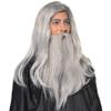 Hperu Wizard Beard Wizard Beard and Wig 1Set Long Grey Magician Wizard Costume Heat Resistant Fiber Costume Wig Santa Halloween Costumes Cosplay Accessory for Adults view 1