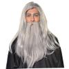 Hperu Wizard Beard Wizard Beard and Wig 1Set Long Grey Magician Wizard Costume Heat Resistant Fiber Costume Wig Santa Halloween Costumes Cosplay Accessory for Adults view 2