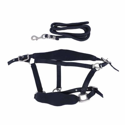 Horse Halter Leash Set, Prevent Rubbing Horse Halter Set, Adjustable Horse Training Halter with 2m Horse Leash, for Training Daily (M (50-115cm / 19.69-45.28in))