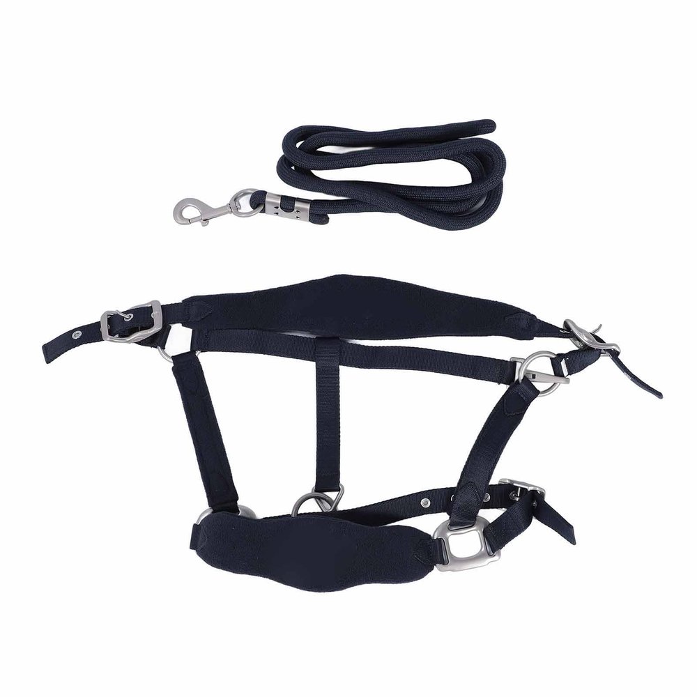 Horse Halter Leash Set, Prevent Rubbing Horse Halter Set, Adjustable Horse Training Halter with 2m Horse Leash, for Training Daily (M (50-115cm / 19.69-45.28in))