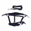 Horse Halter Leash Set, Prevent Rubbing Horse Halter Set, Adjustable Horse Training Halter with 2m Horse Leash, for Training Daily (M (50-115cm / 19.69-45.28in)) view 1