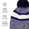 FOCO Baltimore Ravens NFL Heather Team Stripe Lined Pom Beanie view 4