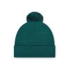 FOCO Philadelphia Eagles NFL Basic Primary Logo Pom Beanie - Midnight Green view 2