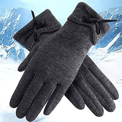 LiuliuBull Plush Winter Women Gloves Warm Touch Screen Gloves Female Windproof Full Fingers Mittens Driving Ski Girls Ladies(Gray)