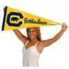 Cal Berkeley Golden Bears ACC Pennant Flag view 4