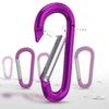 6 PCS Carabiner Keychain Clip -3" Aluminum Carabiner D Ring, Caribeener Clips, Spring Snap Hook for Keychain Clip (Purple) view 2