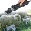 GFAZXDS Electric Sheep Shearing Clipper, Goat Shearing Machine, Professional Sheep Hair Trimmer, Flexible S (Black) view 1