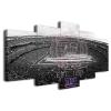City American Football Poster Black and White Stadium Neon Badge Canvas Wall Art Print Home Decor Pattern 5 Large Framed Picture Direct Hanging (E,120x225cm-Framed-5pcs) view 1