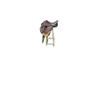 BNB International All Purpose Premium Leather Pony and Adult Jumping English Riding Horse Saddle Tack Saddles for Horseback Riding Size 10" to 18'' inches Seat Available (11" inches Seat) view 2