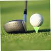 GAROZATION 10pcs Professional Golf Tees Dual Holders Lightweight and for Golfing Accessories and Height Control view 2