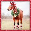 Dansydaisy 6 Pcs Christmas Horse Costume Accessories Horse Santa Hat Leg Wraps with Faux Fur Trim Adjustable Halter Xmas Tack(Red White) view 2