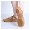 HDNSAUD Ballet Shoes Professional Ballet Shoes Soft Three Split Sole Women Girls Ballerina Dance Shoes Stretch Fabric Mesh Splice Ballet Slippers Dance Shoes(Beige,39) view 2
