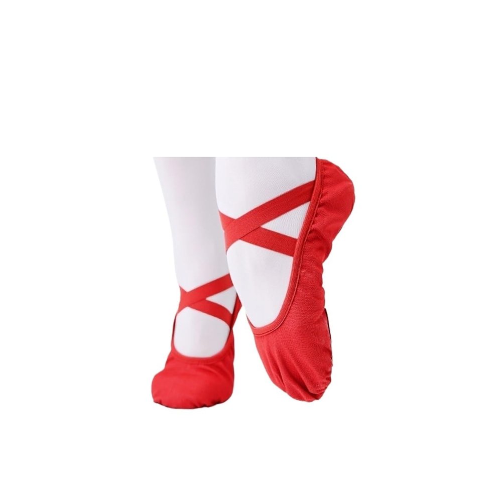 HDNSAUD Ballet Shoes Women Ballet Shoes Girls Professional Ballet Slippers Split Sole Dance Shoes Women Dance Training Shoes Dance Shoes(Red,43)