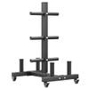 GLGGXBF Olympic Weight Plate Rack with Wheels, 6 Pegs Olympic Weight Plate Rack and 4 Barbells, 660 lbs Capacity Heavy Duty Gym Barbell Storage Rack with Locking Wheels view 1