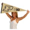 Purdue Boilermakers Big 10 Pennant Flag view 4