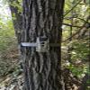 Wildgame Innovations Ridgeline Wraith Camera Combo MO Bottomlands view 3