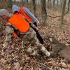 Buck Cuffs Hunting Drags  Heavy-Duty & Compact Deer Drag Tool for Whitetail Bucks | Durable, One-Size Hunting Accessory view 2