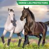 HEEPDD 4Pcs Fine Mesh Horse Boots, Breathable Mesh Horse Boots Horse Leg Wraps Horse Leggings for of Legs Against Bites Rubs and Scratches (Black) view 2