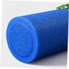 NULYLU Solid Column Yoga Roller for Massage and Fitness Foam Roller for Muscle Recovery and Balance Durable Material for Women Blue Color view 3