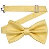 Branduce Light Yellow Bow Tie for Men Adjustable Pre-tied Silk Blend Bowties for Wedding Business Party (BB09-46) view 3