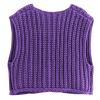 Thin Sweaters for Women,Oversized Sweater Vest Women Casual V Neck Houndstooth Knit Sweaters 2025 Fall Aesthetic Checkered Work Vests(Medium,Purples) view 4