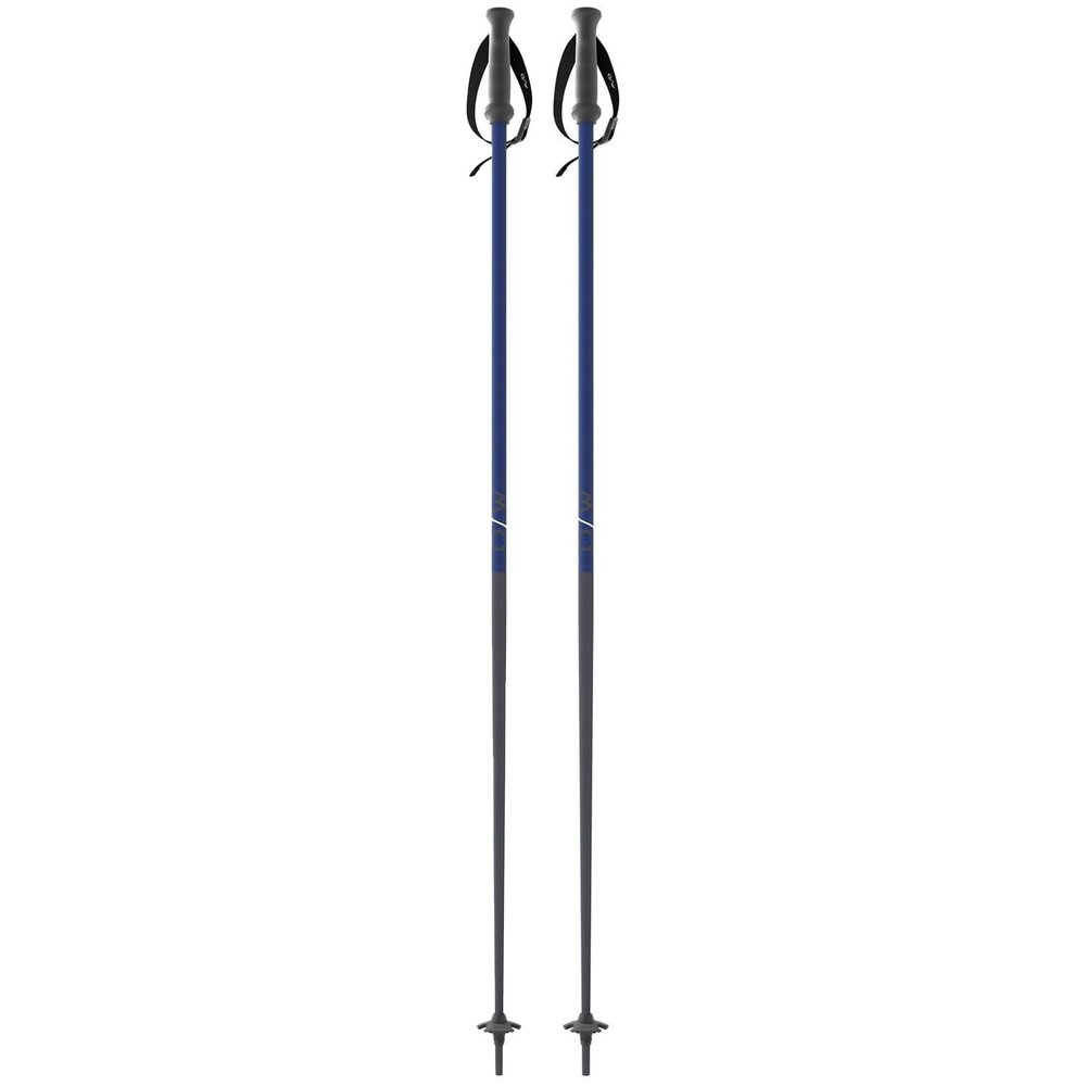 Fischer ONE Way Unisex GT 18 Alpine Skis Poles - Durable Lightweight Aluminum Easy-to-Use Outdoor Winter Sports Downhill Ski Poles with Ergonomic Grip & Adjustable Strap - Pair, 110