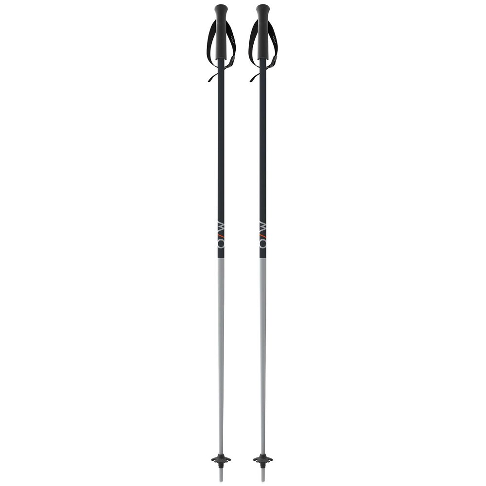 Fischer ONE Way Unisex GT 18 Alpine Skis Poles - Durable Lightweight Aluminum Easy-to-Use Outdoor Winter Sports Downhill Ski Poles with Ergonomic Grip & Adjustable Strap - Pair, 110