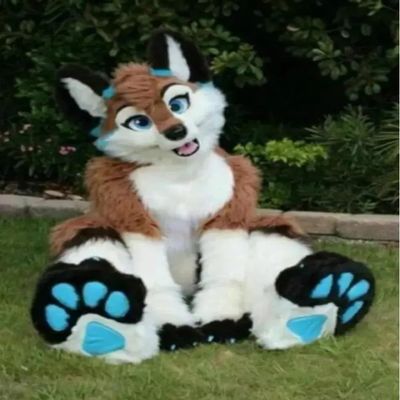 Long Fur Husky Dog Fox Fursuit Mascot Costume Suit Halloween Costume for Festival Dress Mall Promotions (AS SHOW,XS)
