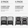 Aerotrunk Compression Packing Cubes for Travel - Luggage Organizer Bags - Double Zipper Packing Cubes for Suitcases (2-Pack, Black) view 4