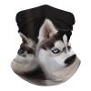 Husky Dog Neck Gaiter UPF 50+ Sun Protection Face Mask Elastic Balaclavas Bandana Cooling Face Cover Scarf Cycling Neck Warmer Breathable Headwear for Men Women view 1