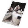 Husky Dog Neck Gaiter UPF 50+ Sun Protection Face Mask Elastic Balaclavas Bandana Cooling Face Cover Scarf Cycling Neck Warmer Breathable Headwear for Men Women view 2