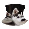 Husky Dog Neck Gaiter UPF 50+ Sun Protection Face Mask Elastic Balaclavas Bandana Cooling Face Cover Scarf Cycling Neck Warmer Breathable Headwear for Men Women view 3