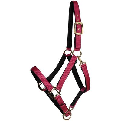 Dura-Tech Fully Padded Nylon Horse Halter | Horse Halter Designed Avoid Rubs | Adjustable Halter Horse Crown and Curb | 1 Double Ply Nylon | Halters for Horses | Oversize | Color Pink